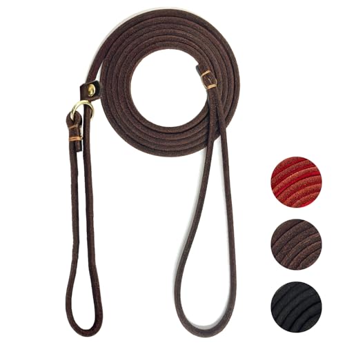 Guiding Star Correa de Cuero Antideslizante para Perros... - Amazon Espagne à 6.58€