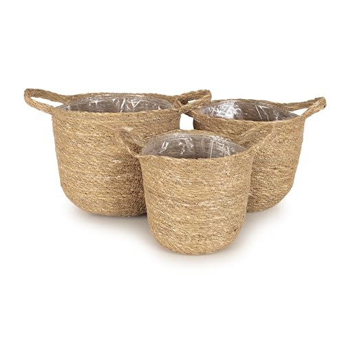 Olly & Rose Set 3 Planter Baskets Premium Indoor Plant Pots... - Jardin & Extérieur en promo à 34.99€