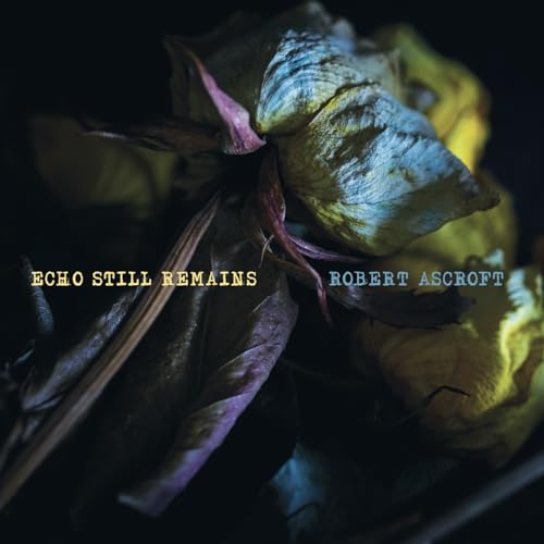 Echo Still Remains (Custard Vinyl) - Deal du jour à 8.78€