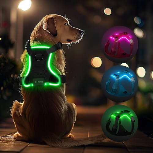 Feycig Harnais lumineux pour chiens de grande taille - LED... - Maison & Cuisine Amazon France à 17.57€