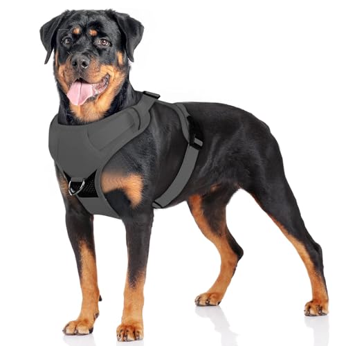 ZESTEFY Zuggeschirr Hund, Reflexstreifen Anti Zug... - Animalerie Amazon Allemagne à 3.39€