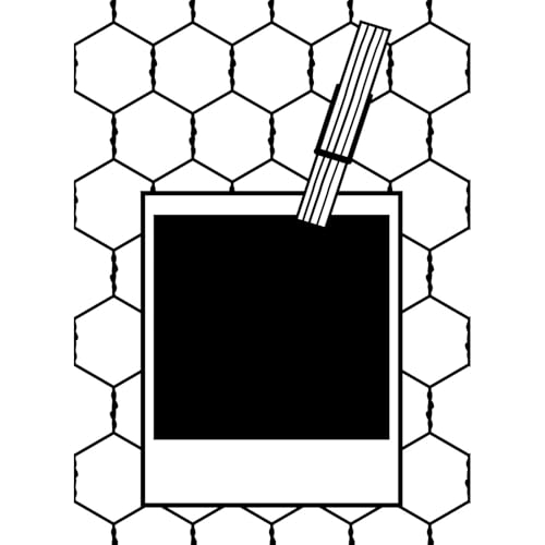 Vaessen Creative Embossing Folder Polaroid with Wire 5.75 x... - Auto & Motorcycle Amazon UK à 2.78€