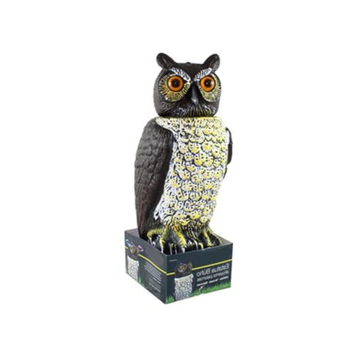 Blendend Estatua Decorativa de búho, diseño Realista... - Garden & Outdoor Amazon Spain à 19.75€