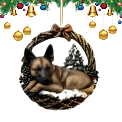 Adorno acrílico para árbol de , decoración de árbol de para... - Bricolage & Outils Amazon Espagne à 1.72€