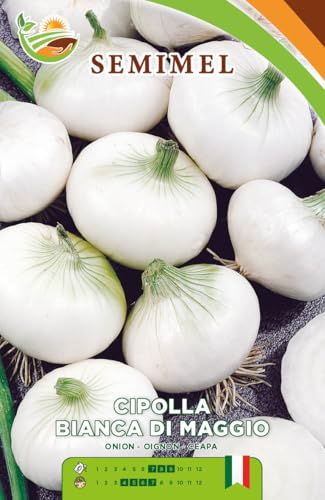 Cipolla di Maggio- Semi Precoce a Bulbo Appiattito, Sapore... - Jardin & Extérieur Amazon Italie à 1.20€