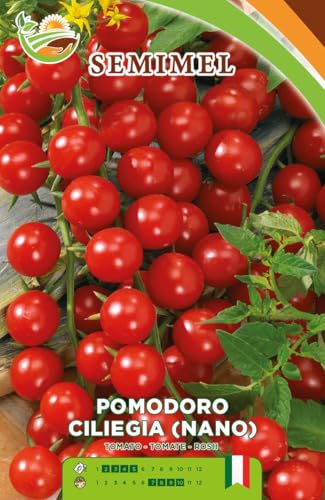 Pomodoro Nano Ciliegia - Frutti Sodi e Gustosi, Pianta... - Jardin & Extérieur Amazon Italie à 1.20€