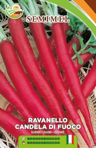 Ravanello Candela di Fuoco - Ravanello Rosso Brillante... - Jardin & Extérieur Amazon Italie à 1.20€