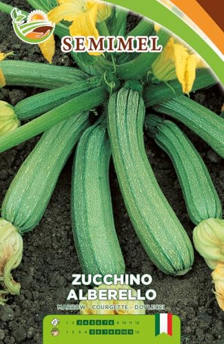 Zucchino Alberello - Semi di Zucchino Verde Chiaro, Pianta... - Jardin & Extérieur en promo à 2.40€