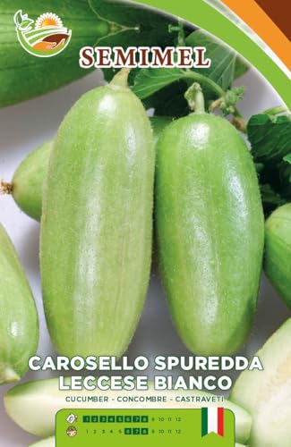 Carosello Spurredda Leccese Bianco- Semi di Ortaggio... - Auto & Moto Amazon Italie à 1.20€