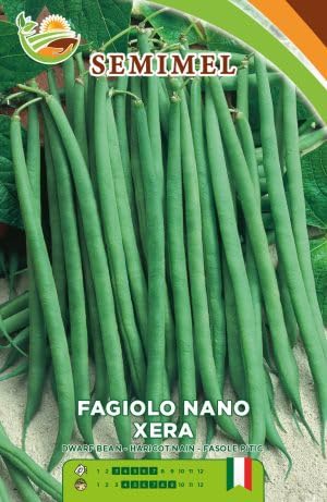 Fagiolo Nano Xera - Fagiolino Eretto a Baccelli Diritti e... - Épicerie en promo à 1.80€