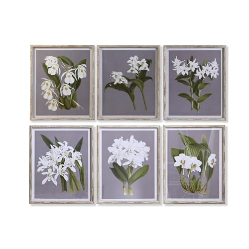 CUADRO CRISTAL ABETO 50X2,8X60 FLORES 6 SURT. - Amazon Germany à 17.52€