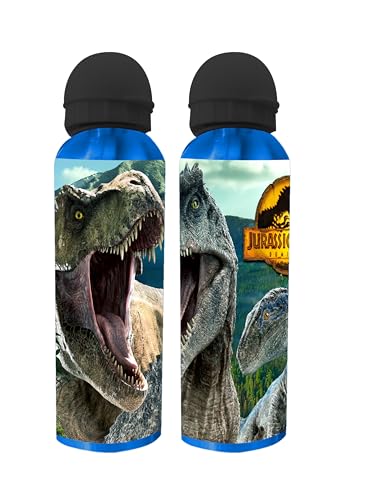 Borraccia in alluminio da 400 ml con tappo di sicurezza e... - Amazon Italie à 9.80€