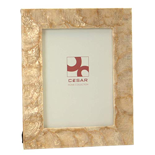 PORTAFOTOS NÁCAR 15X20CM TOSTADO_EXT:22X27,5X1CM - Auto & Motorcycle Amazon Spain à 21.29€