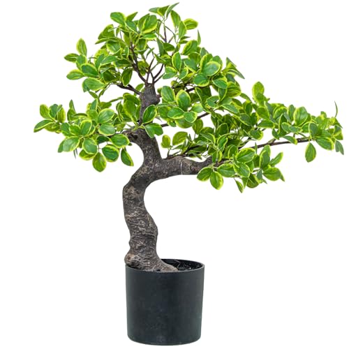 PLANTA ARTIFICIAL EUONYMUS 45CM_45CM - Jardin & Extérieur Amazon Allemagne à 22.38€