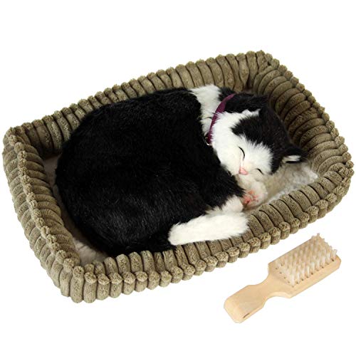PELUCHE CON MOVIMIENTO GATO NEGRO/BLANCO_23X19X10CM - Jouets & Jeux Amazon Allemagne à 24.50€