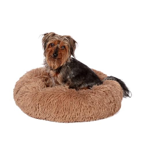 Danish Design Essentials - Cuccia per cani a forma di... - Animalerie Amazon Italie à 35.51€