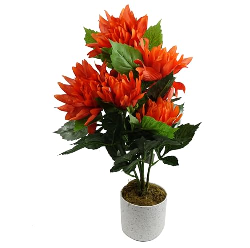 Leaf Design UK Realistic Artificial Flower Plant Tree, 55cm... - Jardin & Extérieur Amazon Royaume-Uni à 17.46€