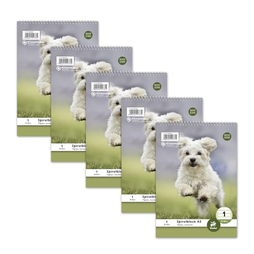 Staufen Style bloc espiralado LIN 1-5 blocs de 40 hojas... - Jouets & Jeux Amazon Espagne à 4.56€