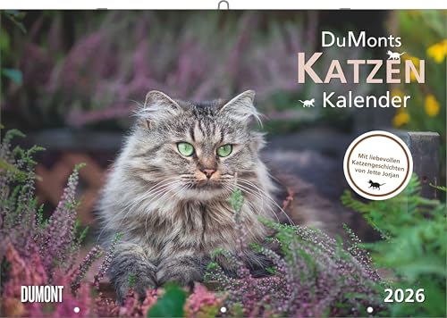 DUMONT - Katzenkalender 2026 – Broschürenkalender 42 x 29... - Home & Kitchen Amazon Germany à 7.18€