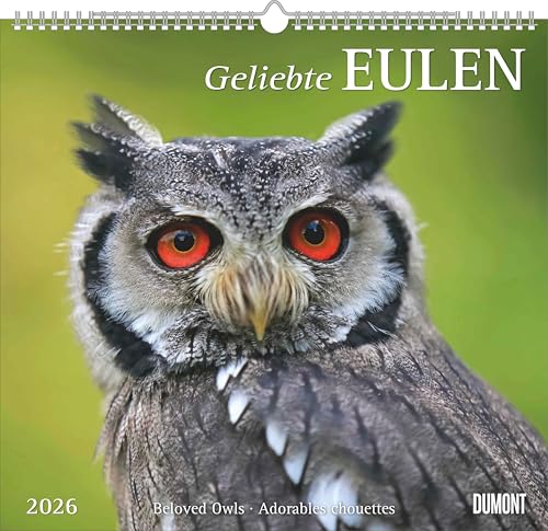 Geliebte Eulen 2026 - DUMONT Wandkalender - mit den... - Fournitures Bureau en promo à 5.94€