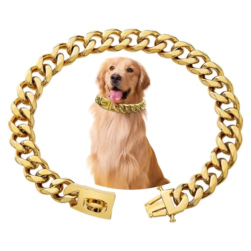 Collier en chaîne pour chien, collier en acier inoxydable... - Animalerie Amazon France à 7.25€