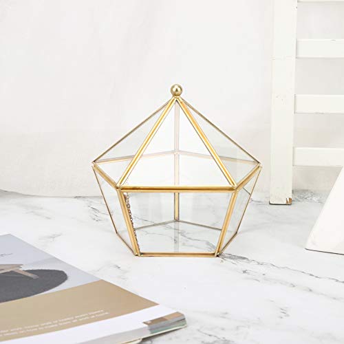 KIMISS Terrario de Vidrio Único, Casa de Flores de Vidrio... - Jardin & Extérieur Amazon Espagne à 5.99€