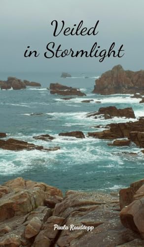 Veiled in Stormlight - Maison & Cuisine Amazon Espagne à 23.33€