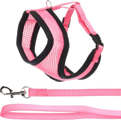 Flamingo Harms Kitten Harness with Leash – Pink – Size A:... - Pet Supplies Amazon UK à 3.37€