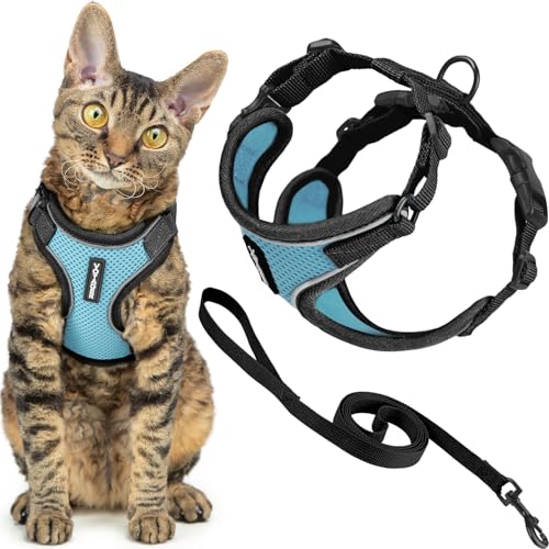 Voyager Ausbruchsicheres Katzengeschirr und Leine, Set mit... - Pet Supplies Amazon Germany à 12.41€