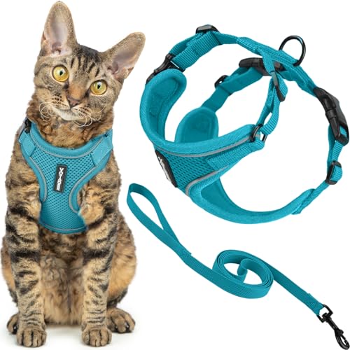 Best Pet Supplies Voyager Ensemble harnais et laisse... - Pet Supplies Amazon France à 9.40€