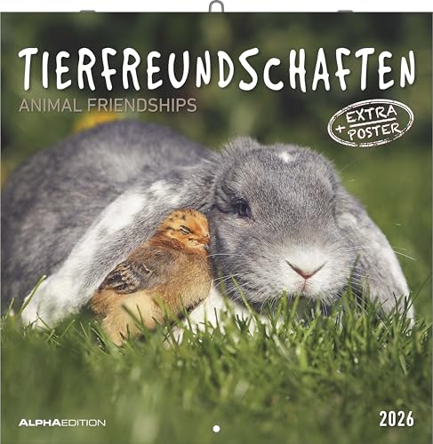 Alpha Edition - Animal Friendships 2026 – Calendario... - Animalerie en promo à 4.00€