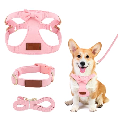 Harnais réglable pour chiot avec laisse, harnais de... - Animalerie Amazon France à 7.19€