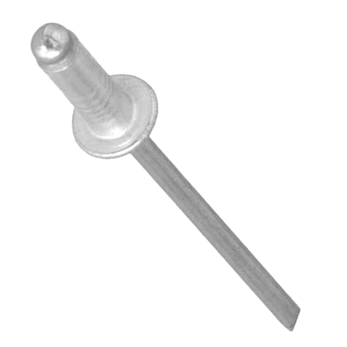 50x Rivetti Ciechi 4x10 mm Pop Alluminio Acciaio Zincato... - Animalerie Amazon Italie à 1.49€