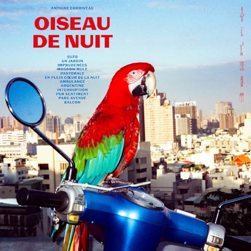 Oiseau De Nuit - Musique & Instruments Amazon Espagne à 10.97€