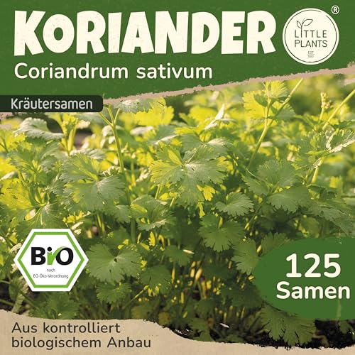 Little Plants BIO Koriander Samen 125 Koriandersamen... - Maison & Cuisine Amazon Allemagne à 1.95€