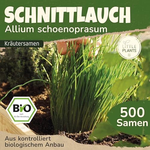 Little Plants BIO Schnittlauch Samen 500 Schnittlauchsamen... - Maison & Cuisine Amazon Allemagne à 1.95€