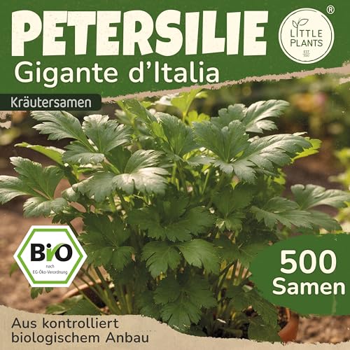 Little Plants BIO Petersilie Gigante ditalia Samen 500... - Maison & Cuisine Amazon Allemagne à 1.95€