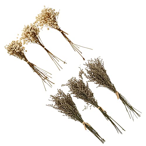 Levemolo 6 Pcs Babysbreath Fleur Bouquets De Fleur Séchée... - High-Tech & Électronique Amazon France à 7.09€