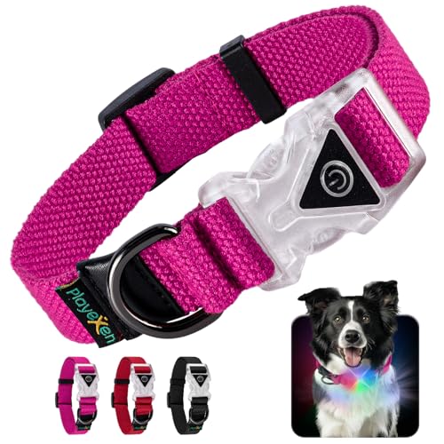 Leuchtendes Hundehalsband Verstellbares Hundehalsband aus... - Pet Supplies Amazon Germany à 5.94€
