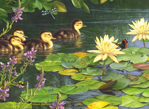 Buffalo Games - Hautman Brothers – Big Day Out – Puzzle de... - Jouets & Jeux Amazon France à 16.27€