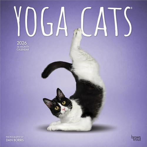 Yoga Cats 2026 Square Flap Calendar - 16-Month Calendar... - Sports & Fitness Amazon Royaume-Uni à 2.74€