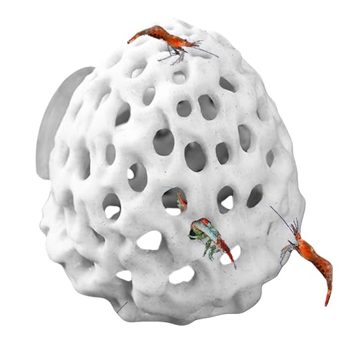 Grotte D'aquarium, Petite Maison Poreuse Betta, Abri À... - Animalerie Amazon France à 2.99€