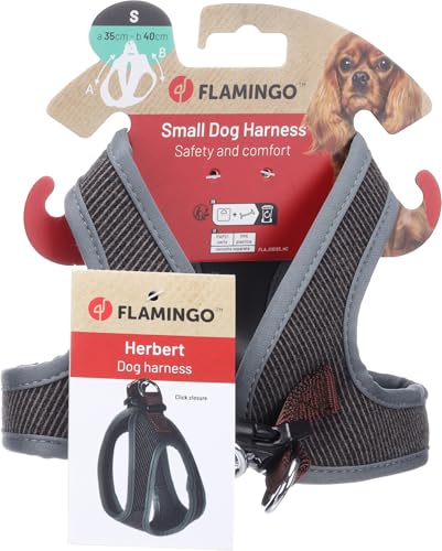 Flamingo Cane Pettorina Step&Go Herbert Marrone Scuro S... - Animalerie Amazon Italie à 5.42€