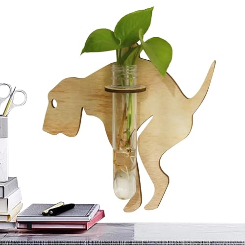 Macetero de propagación de pared, terrario de plantas con... - Jardin & Extérieur Amazon Espagne à 0.76€