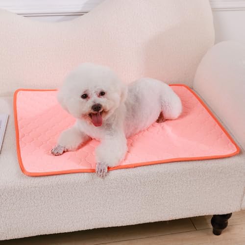 Mateju Wiederverwendbare Puppy Pads, Welpen Unterlage Urin... - Animalerie Amazon Allemagne à 1.39€