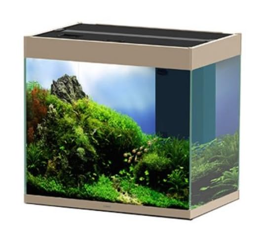 Ciano Emotions 60 Mystic Bio Filter - Auto & Moto Amazon Allemagne à 148.45€