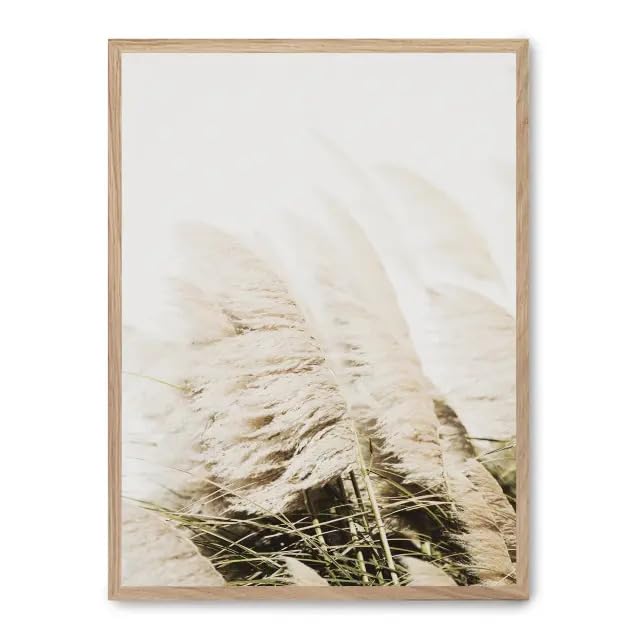 Cuadro pampas iv_FASE5 - Amazon Italy à 70.50€
