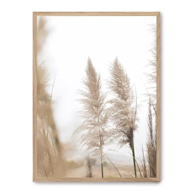 Cuadro pampas iii_FASE5 - Amazon Italy à 71.15€