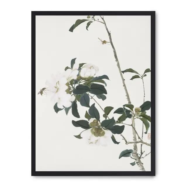 Cuadro delicate beauty - Beauty & Fragrances Amazon Italy à 70.53€