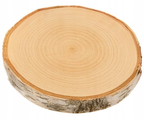 Birkenholzscheibe für DIY-Projekte & Dekoration –... - Loisirs Créatifs Amazon Allemagne à 1.70€